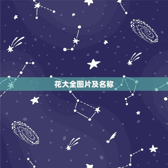 花大全图片及名称,家庭花卉图片及名称100种(一) 花大全图片及名称,家庭花卉图片及名称100种(一)