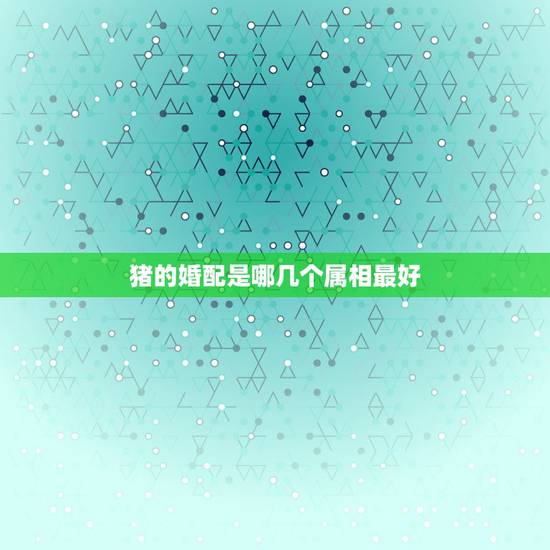 猪的婚配是哪几个属相最好,属猪的和什么属相最配 猪的婚配是哪几个属相最好,属猪的和什么属相最配