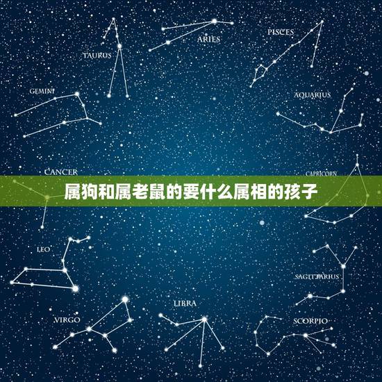 属狗和属老鼠的要什么属相的孩子，我和老婆，分别属狗和属鸡，俩孩子分别属