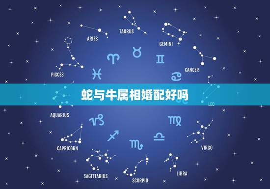 蛇与牛属相婚配好吗,牛蛇属相合不合,婚姻状况怎样 蛇与牛属相婚配好吗,牛蛇属相合不合,婚姻状况怎样