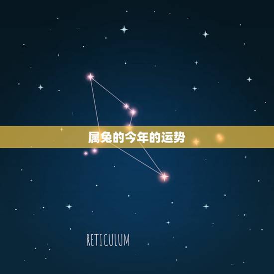 属兔的今年的运势,属兔的今年运势怎么样2022 属兔的今年的运势,属兔的今年运势怎么样2022