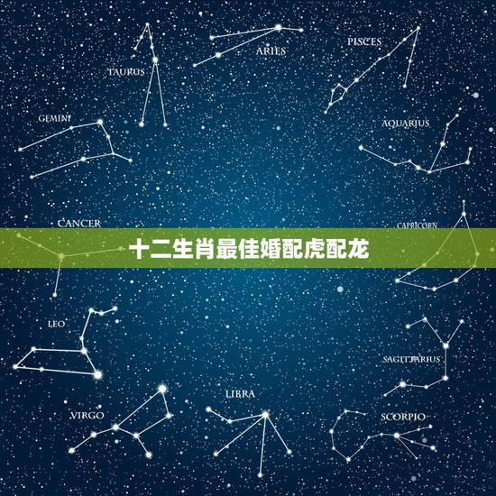 十二生肖最佳婚配虎配龙，属虎可以与属龙的相配吗