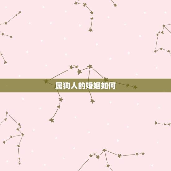 属狗人的婚姻如何,2022 属狗的运势和财运婚姻 属狗人的婚姻如何,2022 属狗的运势和财运婚姻
