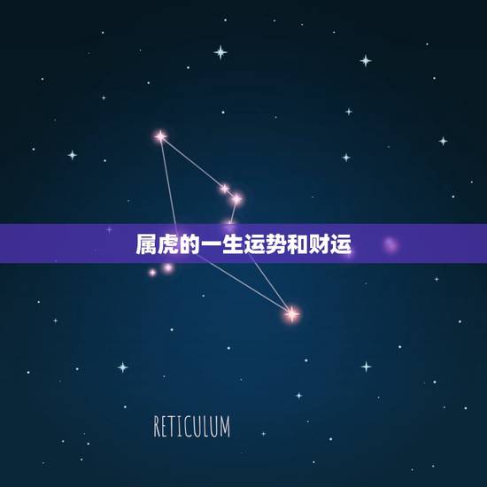 属虎的一生运势和财运，农历几日出生的属虎人财运好