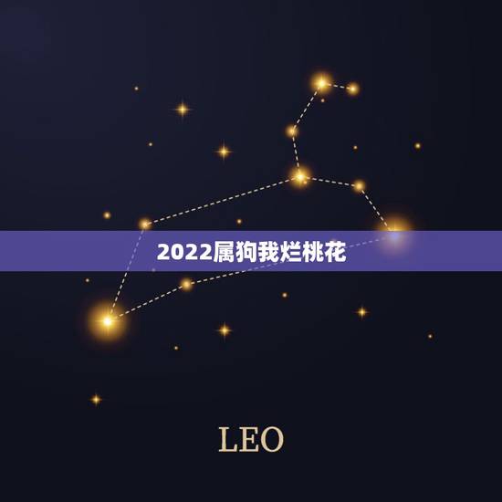 2022属狗我烂桃花，1982年生肖狗运程