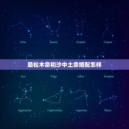 桑松木命和沙中土命婚配怎样,桑松木命和沙中土命做夫妻好不好? 桑松木命和沙中土命婚配怎样,桑松木命和沙中土命做夫妻好不好?