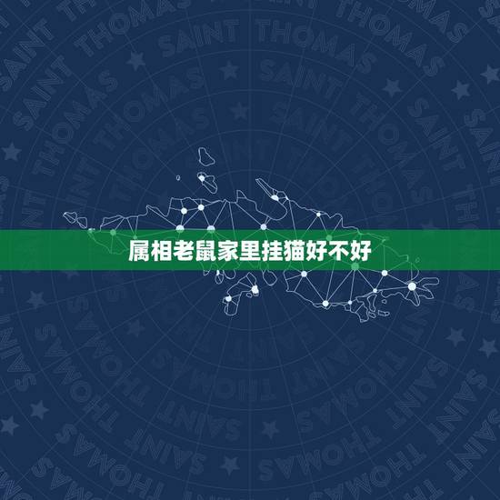 属相老鼠家里挂猫好不好,属鼠人家里放猫物件好吗? 属相老鼠家里挂猫好不好,属鼠人家里放猫物件好吗?