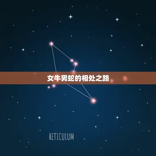 女牛男蛇的相处之路