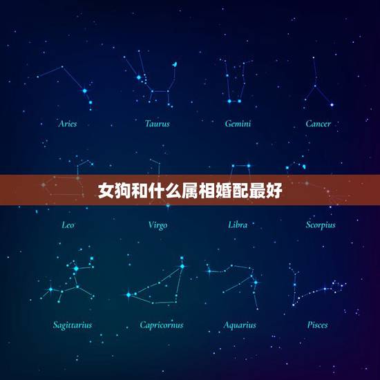 女狗和什么属相婚配最好,属狗和什么属相相配 女狗和什么属相婚配最好,属狗和什么属相相配