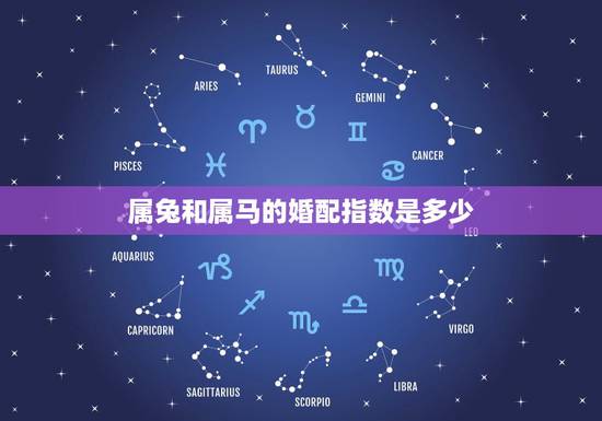 属兔和属马的婚配指数是多少,属马与属兔婚配怎样 属兔和属马的婚配指数是多少,属马与属兔婚配怎样