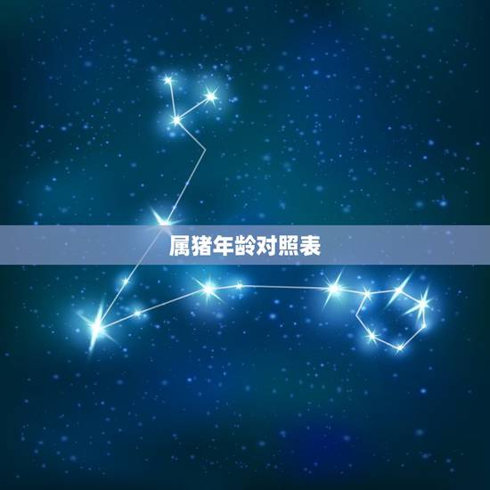 属猪年龄对照表，60年属猪的今年多大
