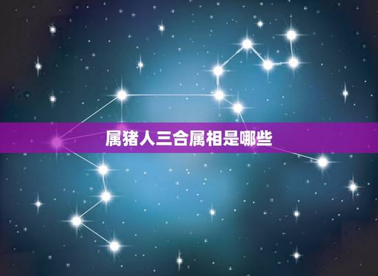 属猪人三合属相是哪些，属猪的和什么属相最配