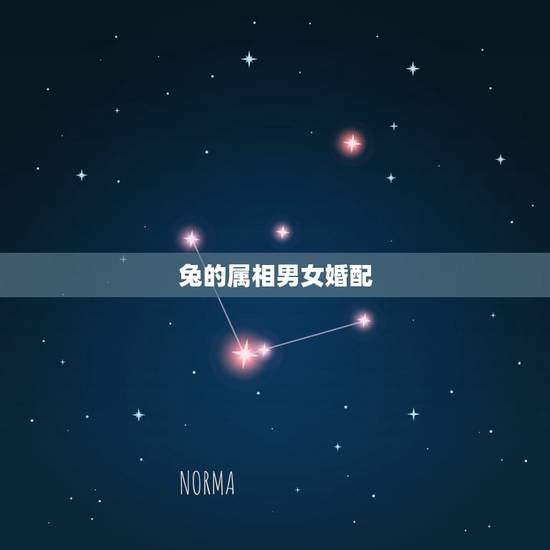 兔的属相男女婚配,男女属兔好不好 兔的属相男女婚配,男女属兔好不好