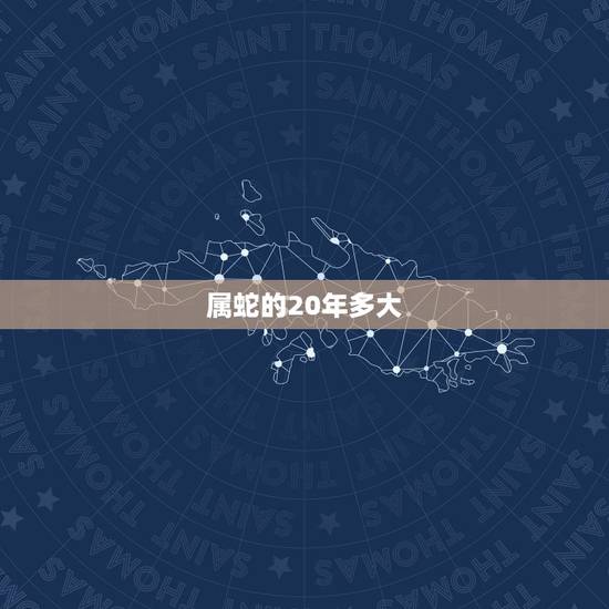 属蛇的20年多大,属狗的2022 年多大 属蛇的20年多大,属狗的2022 年多大