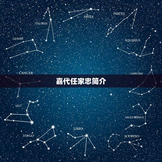 嘉代任家忠简介，四大名捕的剧情介绍