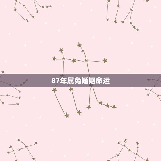 87年属兔婚姻命运,属兔1987年婚姻有几段 87年属兔婚姻命运,属兔1987年婚姻有几段