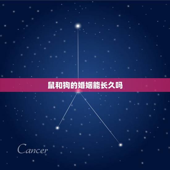 鼠和狗的婚姻能长久吗，男属狗女属鼠生什么宝宝比较好