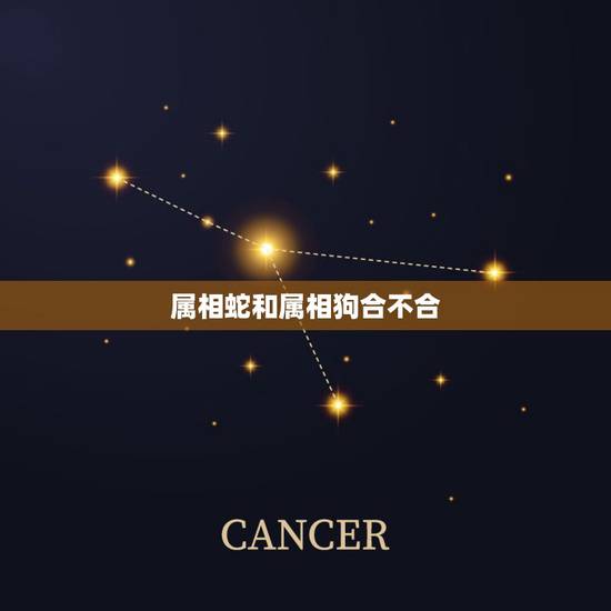 属相蛇和属相狗合不合，属蛇的和属狗的合不合