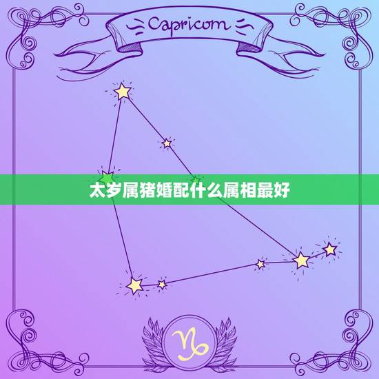 太岁属猪婚配什么属相最好，属猪的人戴什么生肖好