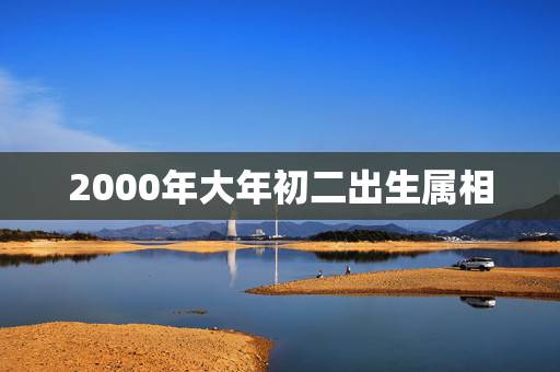 2000年大年初二出生属相,2000年属什么生肖? 2000年大年初二出生属相,2000年属什么生肖?