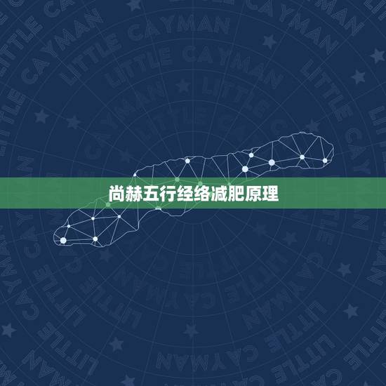 尚赫五行经络减肥原理，尚赫五行经络减肥为什