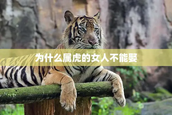 为什么属虎的女人不能娶(解密传统文化中的迷信与现代社会的解读) 为什么属虎的女人不能娶(解密传统文化中的迷信与现代社会的解读)