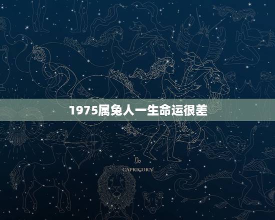 1975属兔人一生命运很差，属兔男喜欢女人的穿着