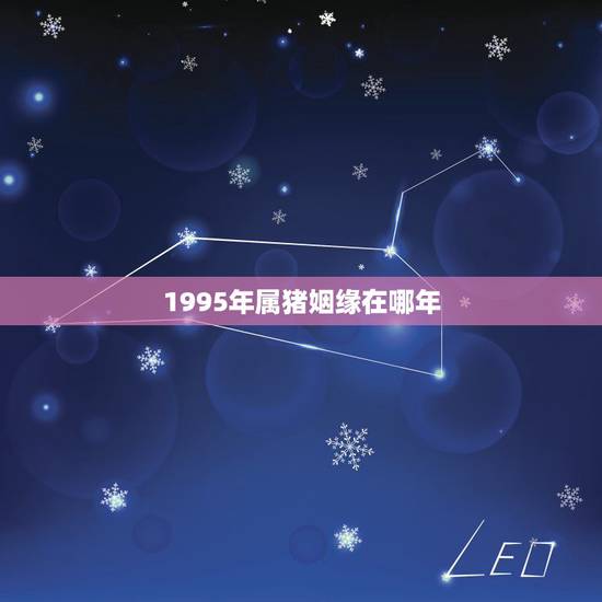 1995年属猪姻缘在哪年，1995年生肖猪今年婚姻如何！何什动！