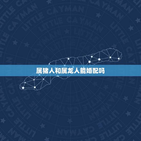 属猪人和属龙人能婚配吗，属猪人和属龙人配在一起幸福吗