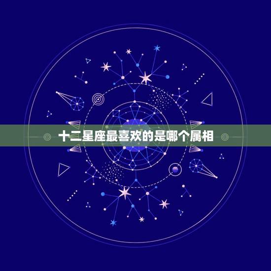 十二星座最喜欢的是哪个属相，十二星座的专属十二生肖属相是什么？