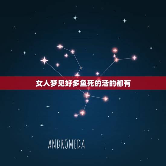 女人梦见好多鱼死的活的都有，梦见好多鱼，有活的死的但抓不住，意味什么