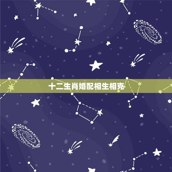 十二生肖婚配相生相克，十二生肖相生相克相冲
