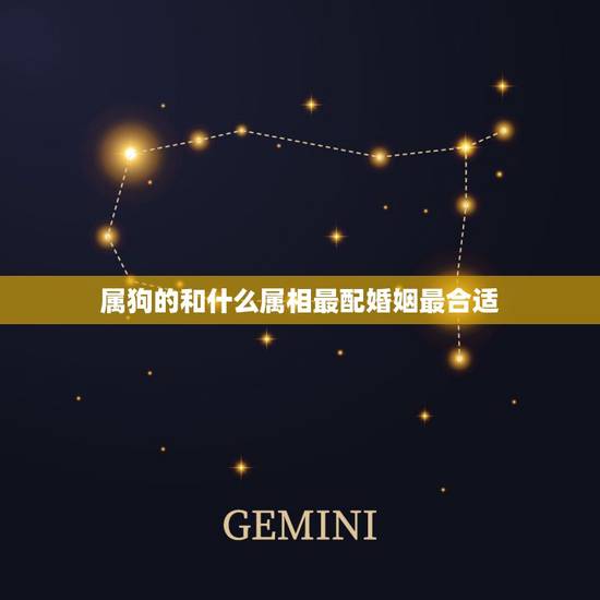 属狗的和什么属相最配婚姻最合适，男属狗的和什么属相最配