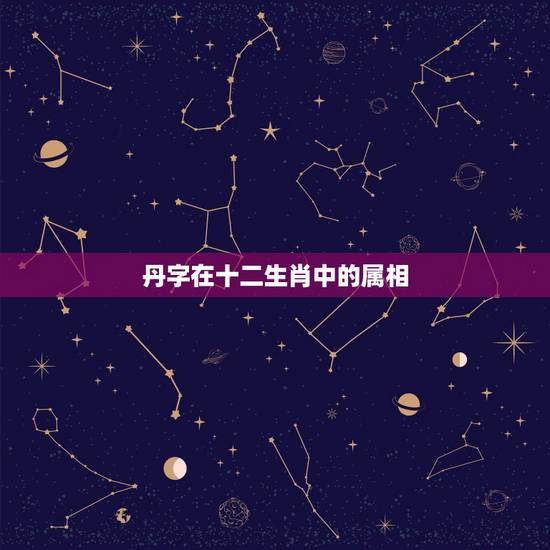 丹字在十二生肖中的属相，玄机字丹在十二生肖里指哪个生肖