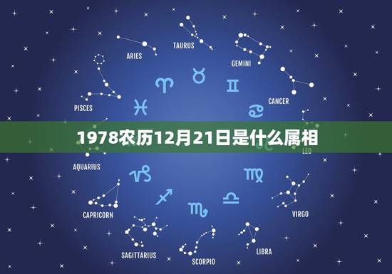 1978农历12月21日是什么属相,我是农历1977年12月21日,阳 1978农历12月21日是什么属相,我是农历1977年12月21日,阳