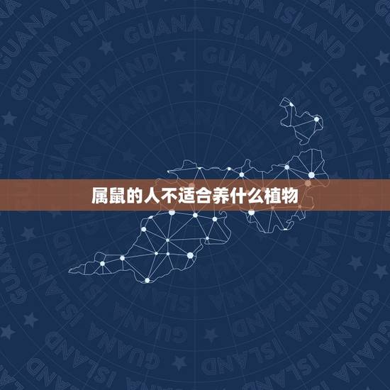 属鼠的人不适合养什么植物，属鼠的种什么花最合适