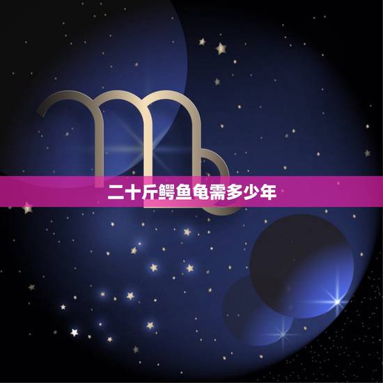 二十斤鳄鱼龟需多少年,二十斤左右的鳄鱼龟值多少钱? 二十斤鳄鱼龟需多少年,二十斤左右的鳄鱼龟值多少钱?