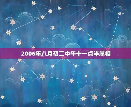 2006年八月初二中午十一点半属相，十二生肖时辰是什么