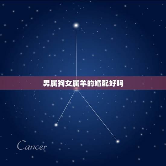 男属狗女属羊的婚配好吗，男属狗女属羊结婚好吗