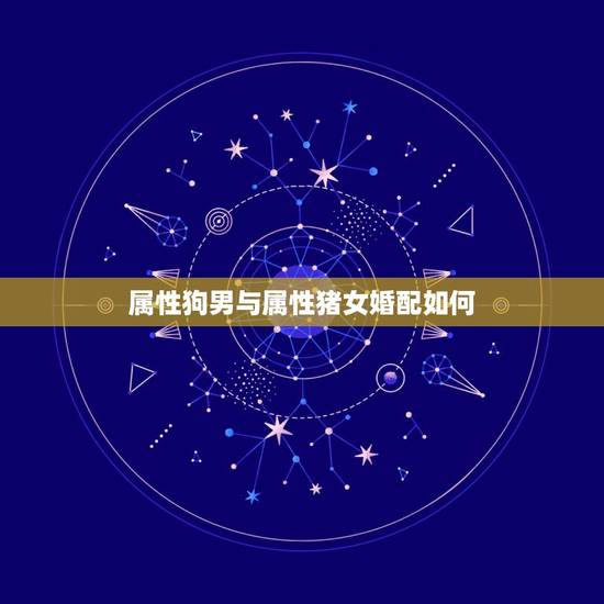 属性狗男与属性猪女婚配如何,男猪和女狗属相配不配 属性狗男与属性猪女婚配如何,男猪和女狗属相配不配
