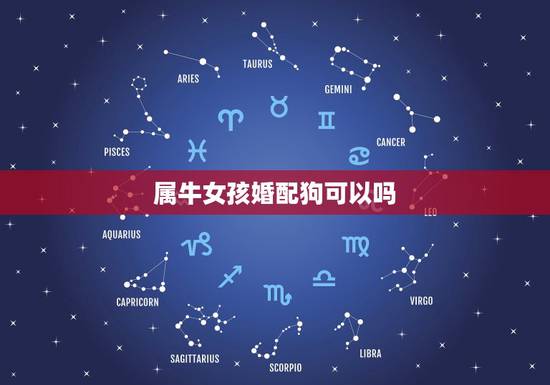 属牛女孩婚配狗可以吗，属牛的女跟属狗的婚配吗？