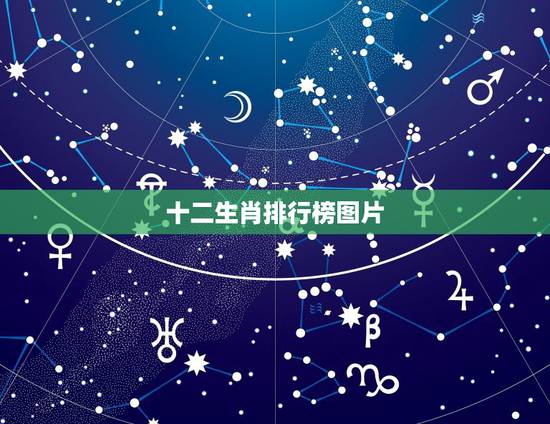 十二生肖排行榜图片，十二生肖排行表图片