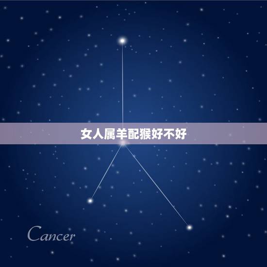 女人属羊配猴好不好,男猴女羊婚姻是否相配 女人属羊配猴好不好,男猴女羊婚姻是否相配