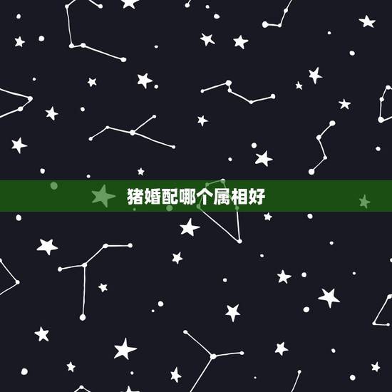 猪婚配哪个属相好，猪男婚配属相更好