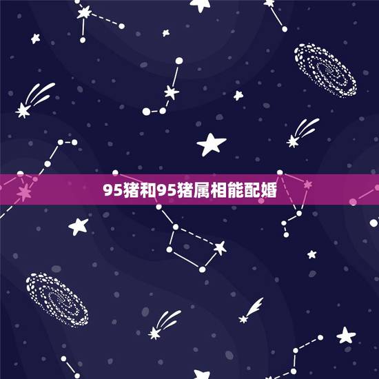 95猪和95猪属相能配婚,95猪跟什么属相配最好 95猪和95猪属相能配婚,95猪跟什么属相配最好