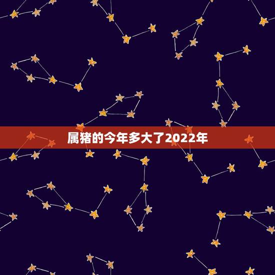 属猪的今年多大了2022年,2022犯太岁的生肖 属猪的今年多大了2022年,2022犯太岁的生肖