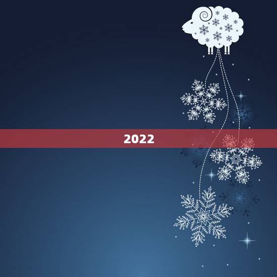 2022 年的经济形势会怎样，展望2022 形势政策