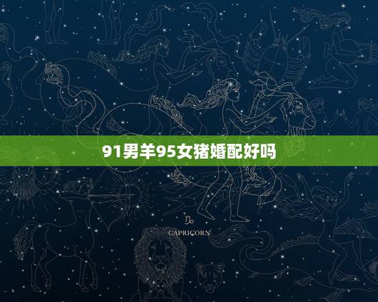 91男羊95女猪婚配好吗，91年羊男和95年猪女婚配吗？