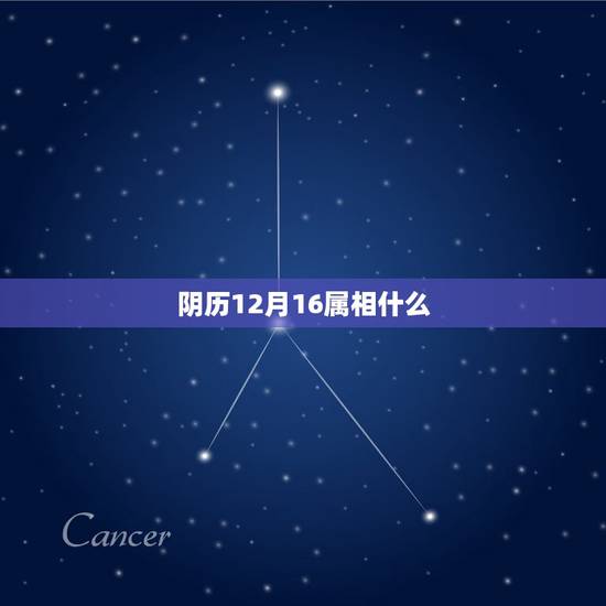 阴历12月16属相什么，公历1991年农历12月16日属相是什么？