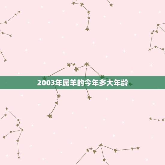 2003年属羊的今年多大年龄，2003年今年满18周岁了吗